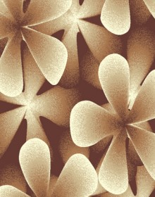 Синтетичний килим Club F522A d.brown-cream - высокое качество по лучшей цене в Украине.