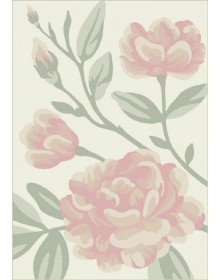 Синтетичний килим Dream 18068/120 - высокое качество по лучшей цене в Украине.