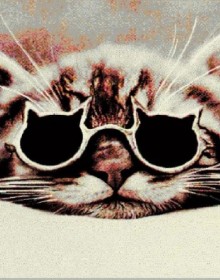 Килим Kolibri (Колібрі) 11262/190 котик - высокое качество по лучшей цене в Украине.