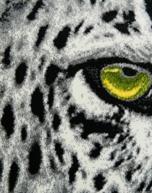 Килим картина з тваринами Kolibri (Колібрі) 11368/190 - высокое качество по лучшей цене в Украине.