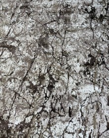 Синтетичний килим Piata C1671 BROWN/BROWN - высокое качество по лучшей цене в Украине.