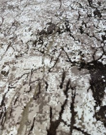 Синтетична килимова доріжка C1671 BROWN/BROWN - высокое качество по лучшей цене в Украине.