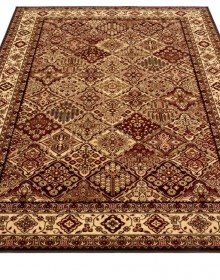 Синтетичний килим Standard Bergenia Terakota - высокое качество по лучшей цене в Украине.