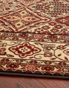 Синтетичний килим Standard Bergenia Terakota - высокое качество по лучшей цене в Украине.