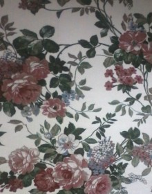 Synthetic carpet Versal 2550-b7-vs - высокое качество по лучшей цене в Украине.