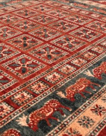 Шерстяний килим Kashqai 4301-300 - высокое качество по лучшей цене в Украине.