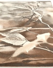 Шерстяний килим Natural Ramo Bez - высокое качество по лучшей цене в Украине.