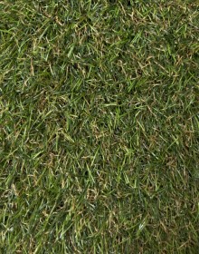 Штучна трава DECO GC 20 20mm - высокое качество по лучшей цене в Украине.