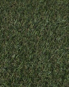 Штучна трава DECO GC 20 20mm - высокое качество по лучшей цене в Украине.