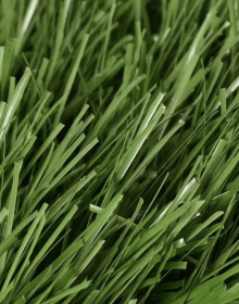 Искусственная трава JUTAgrass PIONEER 40/130 - высокое качество по лучшей цене в Украине.