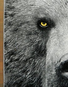 Килим картина з тваринами Kolibri (Колібрі) 11365/190 - высокое качество по лучшей цене в Украине.