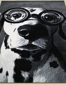 Килим картина з тваринами Kolibri (Колібрі) 11254/190 - высокое качество по лучшей цене в Украине.