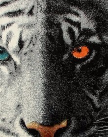 Килим картина з тваринами Kolibri (Колібрі) 11183/190 - высокое качество по лучшей цене в Украине.