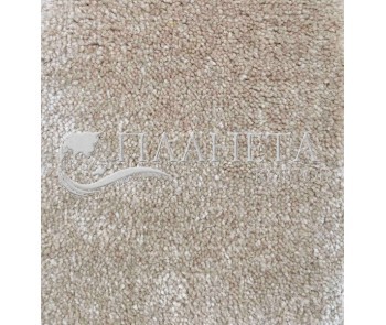 Fitted carpet for home Palmira 2010 - high quality at the best price in Ukraine