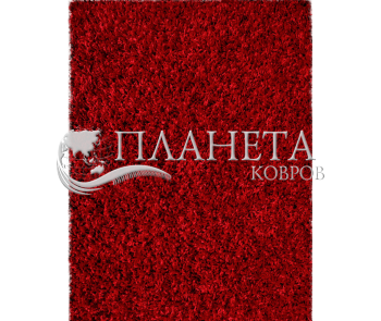 Высоковорсный ковер SHAGGY DELUXE 8000/20 - высокое качество по лучшей цене в Украине