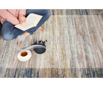 Синтетический ковер Argentum 63138 6191 - высокое качество по лучшей цене в Украине