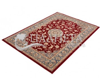 Synthetic carpetDa Vinci 57165 1454 - high quality at the best price in Ukraine