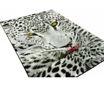 Ковер картина с животными Kolibri (Колибри) 11122/190 - высокое качество по лучшей цене в Украине