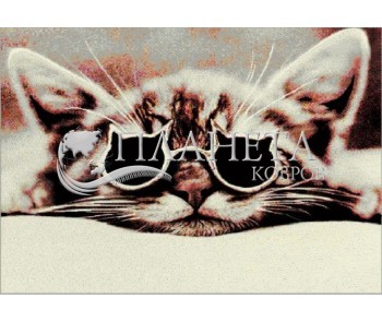 Ковер Kolibri (Колибри) 11262/190 кот - высокое качество по лучшей цене в Украине