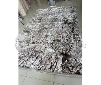 Синтетичний килим Piata C1671 BROWN/BROWN - Висока якість за найкращою ціною в Україні