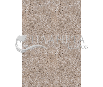 Синтетический ковер  Star 7000/11  - высокое качество по лучшей цене в Украине