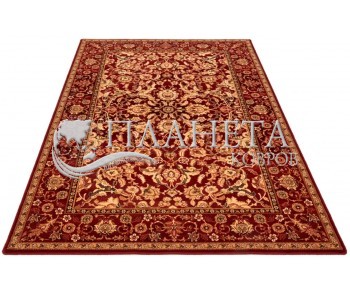 Шерстяний килим Agnus Stolnik Rubin - Висока якість за найкращою ціною в Україні