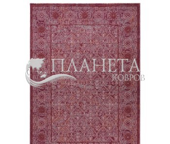 Шерстяной ковер Bella 6898-50855 - высокое качество по лучшей цене в Украине