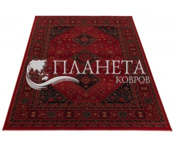 Шерстяной ковер Kashqai 4345 300 - высокое качество по лучшей цене в Украине