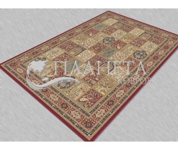 Шерстяний килим Premiera 6645-51066 - Висока якість за найкращою ціною в Україні