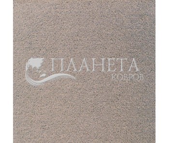 Commercial fitted carpet Eden 10230 - high quality at the best price in Ukraine