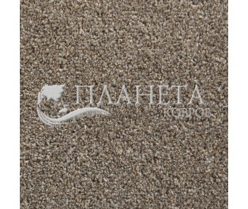 Ковролін для дома AW Duster 42 - Висока якість за найкращою ціною в Україні