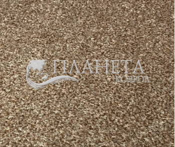 Commercial fitted carpet AW Terra Heathers 42 - high quality at the best price in Ukraine