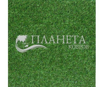 Искусственная трава Betap HEATONPARQ - высокое качество по лучшей цене в Украине
