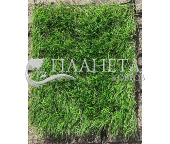 Искусственная трава Landgrass 35 - высокое качество по лучшей цене в Украине
