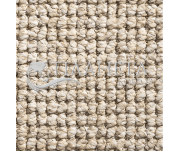 Побутовий ковролін Timzo Daytona 7614 - Висока якість за найкращою ціною в Україні