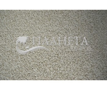 Fitted carpet for home AW Mode 33 - high quality at the best price in Ukraine