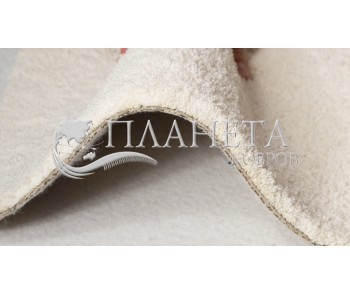 Fitted carpet for home AW SOFTISSIMO 03 - high quality at the best price in Ukraine