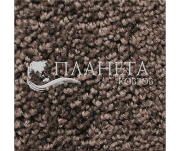 Fitted carpet for home Sunshine 91 - high quality at the best price in Ukraine