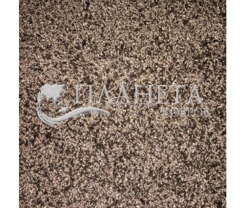 Shaggy fitted carpet Astral 966 - high quality at the best price in Ukraine