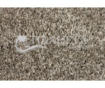 Shaggy fitted carpet Shaggy Exclusive 910 - high quality at the best price in Ukraine