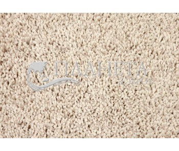 Shaggy fitted carpet Shaggy Exclusive 620 - high quality at the best price in Ukraine