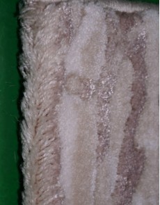 Акриловий килим Carmina 0130 beige-ivory - высокое качество по лучшей цене в Украине.