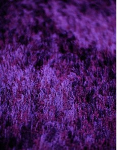 Высоковорсный ковер Lalee Monaco 444 violet - высокое качество по лучшей цене в Украине.