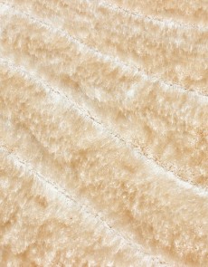 Высоковорсный ковер Therapy 2228B p.beige-p.beige - высокое качество по лучшей цене в Украине.