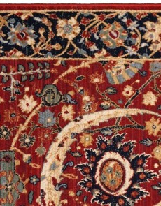 Високощільний килим Antique 6650-53578 - высокое качество по лучшей цене в Украине.
