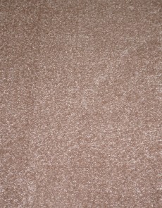 Синтетична килимова доріжка CAMINO 00000A BEIGE/BEIGE - высокое качество по лучшей цене в Украине.
