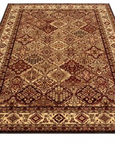 Синтетичний килим Standard Bergenia Terakota - высокое качество по лучшей цене в Украине.
