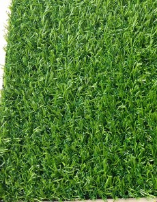 Штучна трава Congrass TROPICANA 15 - высокое качество по лучшей цене в Украине.
