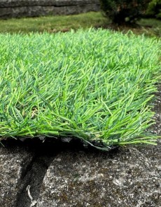 Искусственная трава Landgrass 20 - высокое качество по лучшей цене в Украине.