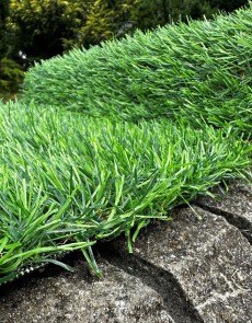 Искусственная трава Landgrass 30 - высокое качество по лучшей цене в Украине.
